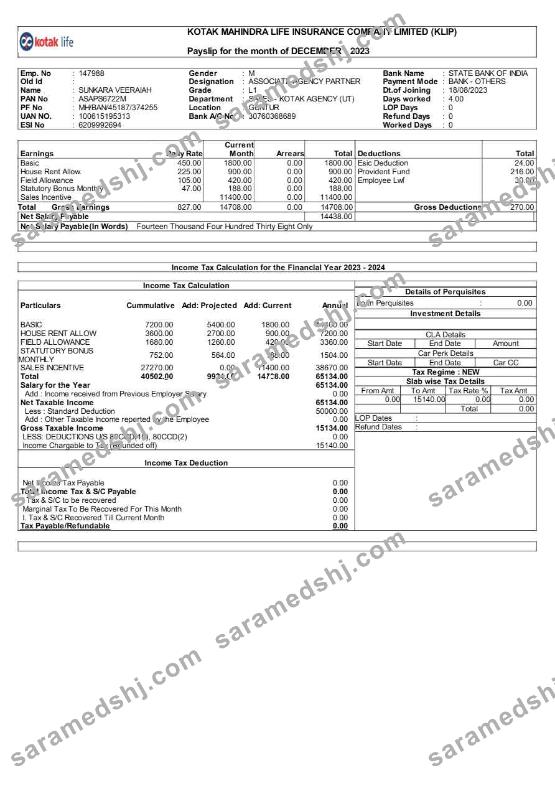 Kotak Life Insurance Company payslip template in Word and PDF formats.pdf, 1